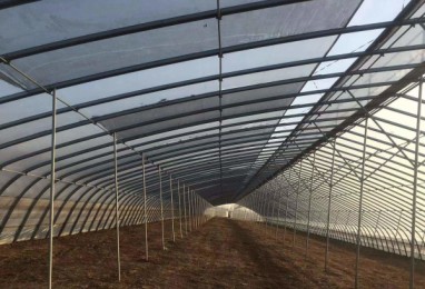 溫室大棚放風的科學方法