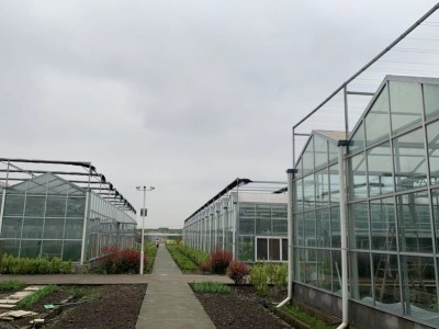 玻璃溫室